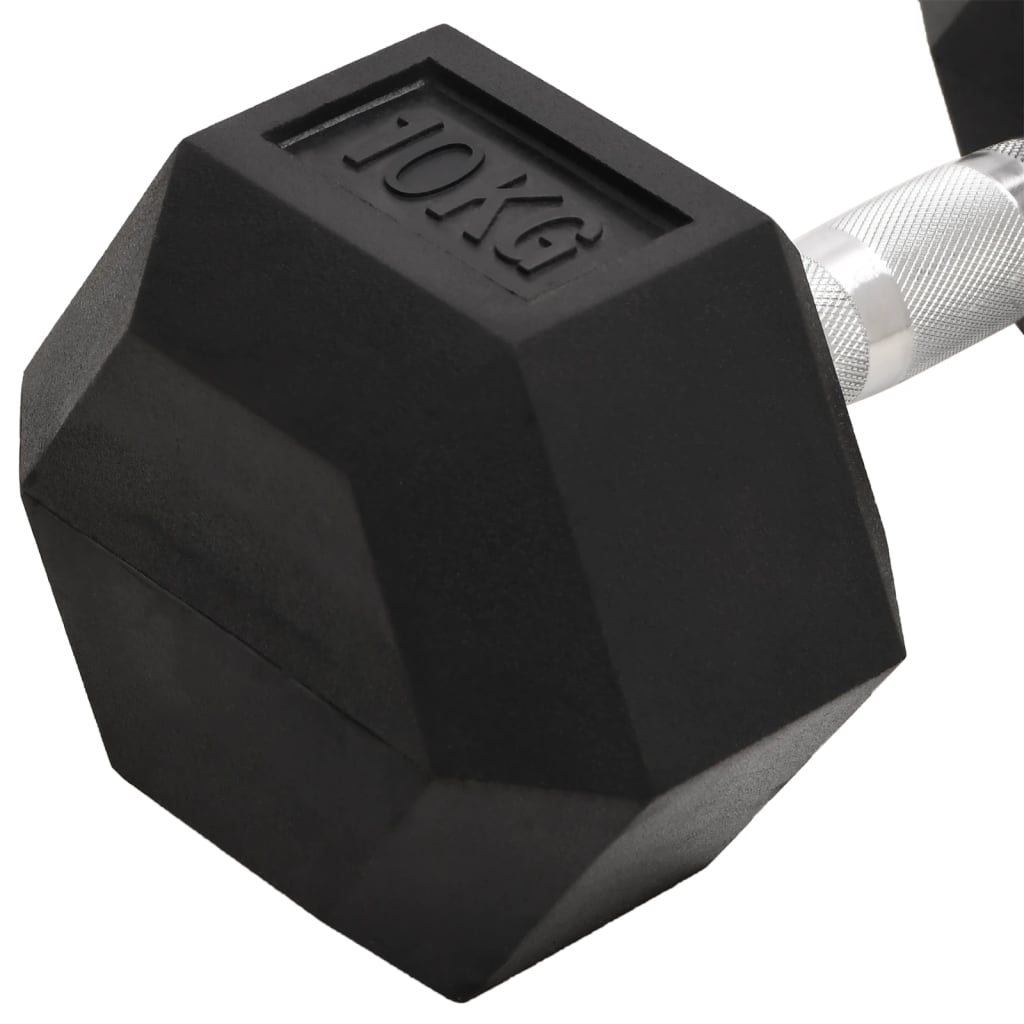 Haltères 2 pcs 20 kg Fonte