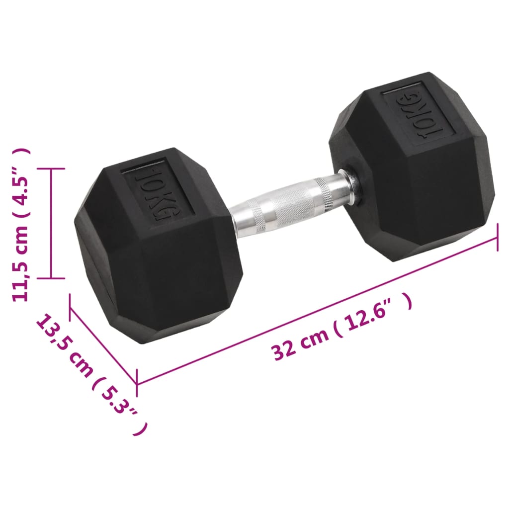Haltères 2 pcs 20 kg Fonte