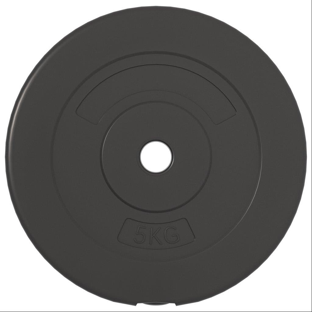 Plaques de poids 6 pcs 30 kg Béton